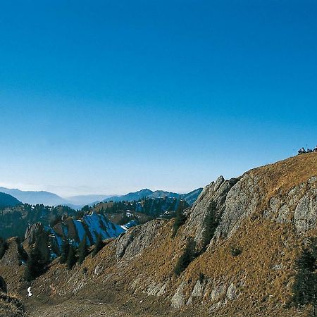 Ferienwohnungen Alpentraum - Freisicht Fischen im Allgaeu Dış mekan fotoğraf